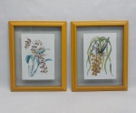Duas reproduções de gravuras representando espécies de orquídeas. Moldura amarela envidraçada. Med. total 31 x 25 cm.