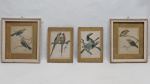 Quatro reproduções coloridas representando pássaros da fauna brasileira. Molduras envidraçadas. No estado. Med. 18 x 13 cm e 23 x 20 cm.