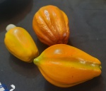 Conjunto composto por três frutas decorativas artesanais, esculpidas e pintadas à mão, representando espécies tropicais: caju em tom amarelo com castanha acinzentada; cacau em coloração alaranjada com textura marcada; e pimentão amarelo com nuances esverdeadas.Peças elaboradas em material rígido (possivelmente resina ou gesso pintado), de execução artesanal e acabamento minucioso, próprias para composições decorativas de cozinha, mesas temáticas ou coleções de frutas cenográficas.