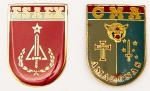 Militaria, Brasil. Distintivos de bolso em metal e esmaltes 45x32 mm. 2 Peças.
