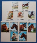 Filatelia - 11 selos Cuba e Sharja  !!! Todos de cavalos diferentes !! !     !! 