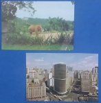 2 Postais  / Brasil - São Paulo - Av. Ipiranga decada de 1960 !!! E Zoológico de S.P, ano de 1976   !!!  