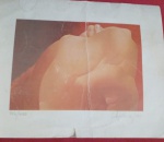 Gravura petrina   CHECCACCI.146-400 assinado  CHECCACCI. 1981 17x21. pequena dobra ao centro, com dedicatória  ao casal de amigos NOEL E ZEZE 981-82.