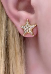 Lindo Brinco Estrela em Ouro Amarelo 18Kt com 1,20Cm de Diâmetro de Ponta a ponta  e aproximadamente 0,25Ct de brilhantes, Peso:6,5Gr