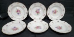 C.T. TIELSCH WAZBRZYCH - CONJUNTO COM SEIS PRATOS FUNDOS EM PORCELANA POLONESA COM DECORAÇÃO FLORAL. 1 COM BICADO. MEDINDO 25 CM