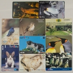 Cartões Miscelânea. 10 peças.