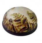 GRANDE PLAFON GALLÈ, SAMANBAIAS E BORBOLETAS. MEDIDAS: 50 CM