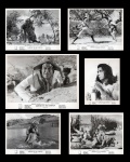 cinema - `Lampião Rei do Cangaço` - Gloria Menezes e Leonardo Vilar - lote com 6 fotografias originais - 1964 - dirigido por Carlos Coimbra - em ótimo estado de conservação - versos em branco - média (18x24)cm.