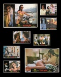 cinema - Excitação - lote com 8 lobby card -  filme brasileiro de 1977, do gênero terror e suspense, dirigido por  Jean Garrett  - com Kate Hansen, Flávio Galvão e
 Betty Saddy - em bom estado de conservação - (25,5x30,5)cm