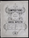 partitura - Compositions - Annibal Napoléon - Imperial Estabelecimento Narciso & Arthur Napoleão - 12 p. - papel amarelado pelo tempo - com marca de encadernação no lado esquerdo - assinatura datada no alto da capa 1882 - (33X25) cm.