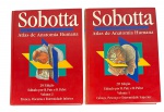 Lote Sobotta - Atlas de Anatomia Humana, 20ª Edição, completo em 2 Volumes (Capa Dura), editado por R. Putz e R. Pabst; item essencial para estudantes e profissionais de Medicina e áreas afins. Marcas do tempo. -dim- 20x27