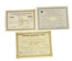 Lote de 3 ações antigas (scripophily) de companhias brasileiras industriais (Café Dínamo, Metropolitana de Aços e Siderúrgica Lanari), datadas de 1968 a 1979, acompanhado de seus estatutos sociais e acondicionado em uma pasta de documentos da GOL Linhas Aéreas Inteligentes. Marcas do tempo. -dim- menor 24x17 maior 28x20 pasta Gol 22x32   