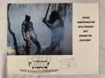 LOBBY-CARDS DO FILME: SWAMP THING / MONSTRO DO PÂNTANO, 1982  - 26X36CM - COM CARIMBO DO DEPARTAMENTO DA POLICIA FEDERAL, (TCDP) LEBERADO PARA EXPOSIÇÃO - EM ÓTIMO ESTADO