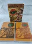 BOX DVD - MINISÉRIE DA GLOBO - GRANDE SERTÃO VEREDAS, 1985-2009 - 4 DISCOS - EM EXCELENTE ESTADO