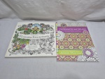 Lote de 2 livros pra colorir.