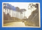 cartofilia- Nova estrada para o Alto da Boa Vista / R.J. , raridade , decada de 1930 !! 