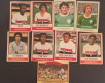Colecionismo- 9 Cards da Ping Pong !! do campeonato Brasileiro !! ano de 1979 !! todas diferentes !! raridades !! acervo de colecionador !!
