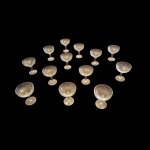 Treze taças para champagne em cristal translúcido lapidação losangos, Diam. 10, Alt. 11 cm.