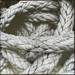 DÉBORA SILVA - FORÇA - Plotagem em alta definição em policloreto de vinila PVC, com moldura em alumínio na cor preta e proteção de vidro, med. 70X70cm. Acompanha certificado de autenticidade.  