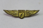 COLECIONISMO - MEMORABILIA AERONÁUTICA - Antigo PIN / BREVÊ METÁLICO da extinta cia. Aérea VASP (Viação Aérea São Paulo).