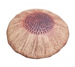 Decorativo em cerâmica - 05x12cm.