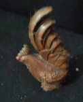 Interessante netsuke esculpidos em madeira representando  galo com altura 70mm