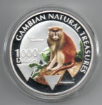 MOEDA GAMBIA - 1000 DALASIS 2015 - COBRE REVESTIDO DE PRATA - 28 GRAMAS - 40MM - FC - TESOUROS NATURAIS DA GAMBIA - PATAS MONKEY - REPLICA EM PERFEITO ESTADO CONFORME FOTOS