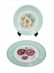 PORCELANAS, dois (2) pratos decorativos confeccionados em porcelana na tonalidade branca, decoradas por espessa faixa na tonalidade verde e centro com pintura floral em policromia, 1 com falhas no filete da borda, medindo 21cm.