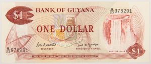 Numismática, GUYANA. Uma Cédula P-21 1 Dollar 1989 Flor de Estampa