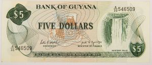 Numismática, GUYANA. Uma Cédula P-22 5 Dollars 1989 Flor de Estampa