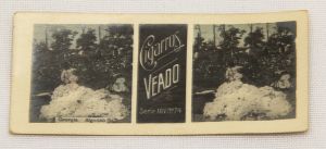 Colecionismo - Figurinha de cigarro - VEADO Fábrica de José Francisco Jorge - Stereoscópica -  (7 x 3cm) - Produção de Algodão da Georgia EUA - Série XXIV Nº74 - VALE BRINDE NO VERSO