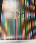 ANA CLARA  SCHINDLER -  "ESTÚDIO PRETO E BRANCO  "  RINGS OF COLORS  - Pôster  Olimpíadas  RIO 2016- 90 x 60 cm ( sem moldura )