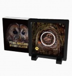 MOEDA SAMOA - 25 CENTIMOS 2023 - COBRE - 51,2 GRAMAS - 40MM - FC - OCO DE ARVORE - CORUJA DO MATO EUROPEIA - EM ENCARTE ORIGINAL - EM PERFEITO ESTADO CONFORME FOTOS