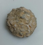 OURIÇO DO MAR FOSSILIZADO ORIGINAL COM CERTIFICADO - OS OURIÇOS DO MAR TEM UM ENDOESQUELETO RIGIDO FEITO DE OSSICULOS DE CALCARIO QUE FORMAM ESSA ESTRUTURA GLOBULAR. - ESPECIE INDETERMINDADA - PERIODO CRETACEO - MEDIDAS: 3 X 1,2 CM - PESO: 4 GRAMAS - ENCONTRADO NO SAARA OCIDENTAL - EM PERFEITO ESTADO CONFORME FOTOS