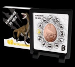 MOEDA SAMOA - 20 CENTIMOS 2022 - BRONZE COM REVESTIMENTO DE OURO - 25 GRAMAS - 50MM - FC - DINOSSAUROS NA ASIA - BEIPIAOSAURUS - DISPLAY ORIGINAL - NO ESTADO CONFORME FOTOS