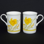 PORCELANA, par (2) canecas com ornamentação floral, tonalidade verde e amarela sobre fundo branco, marcalegendada HAIGELEI, além de caracteres orientais, medindo 10 cm altura, bicado na borda de uma delas, sinais de uso,vide foto.