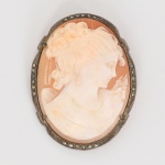 Camafeu esculpido em concha bicolor, apresentando busto feminino em perfil voltado à direita, com cabelos ondulados e elemento floral junto ao ombro. Trabalho em relevo obtido pelo aproveitamento da camada superior clara da concha sobre fundo em tonalidade coral. Montagem em prata, aro oval recortado, guarnecido por fileira perimetral de marcassitas cravadas em grãos. Fixação do camafeu por meio de garras laterais. No reverso, sistema de fecho tipo alfinete com charneira e trava simples. Presença de punção indicativa de garantia da prata do toque 0,800 Estado de conservação conforme fotografias. Medidas: Alt.: 4,5 x Comp.: 3.5 cm.