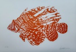 Kleber Ventura, Peixe Laranja, gravura, tiragem 2/10, 35x50cm, sem moldura