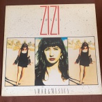 DISCO DE VINIL  AMOR E MUSICA,ZIZI POSSI,CONSERVADO ,NAO NOS RESPONSBIZAMOS POR PEQUENO RISCO