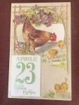 ANTIGO CARTAO POSTAL ITALIANO, PASCOA, GALINHA E FLORES,CONSERVADO