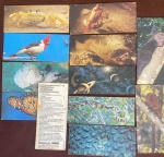 COLECIONISMO,CARD SUPRESA NESTLE, ANIMAIS, CONSERVADO, MARCAS DE MANUSEIO