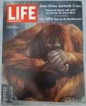 REVISTA LIFE ATLANTIC VOL. 45 Nº12