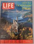 REVISTA LIFE INTERNATIONAL VOL. 35 Nº3