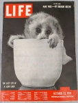 REVISTA LIFE  OUTUBRO DE 1951