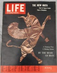 REVISTA LIFE INTERNATIONAL VOL. 35 Nº2