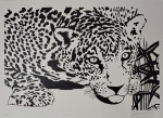 Kleber Ventura, Onça Branca, gravura, tiragem 14/30, 70x100cm, sem moldura