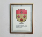 Brasão de armas da família Rodrigues, com um texto que descreve a origem e a história do sobrenome em Espanha. O sobrenome é um patronímico ibérico, significando "filho de Rodrigo", e tem raízes germânicas - Emoldurado em vidro duplo, em moldura de alumínio dourado - Dimensão: 43 X 34 cm