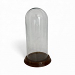 Antiga redoma de vidro com base em madeira, formato oval/domo, peça decorativa para proteção e exposição de imagens sacras. Medidas: 23 cm de altura x 9,5 cm de diâmetro.