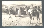 Cartofilia - Imagem de chegada ao Oásis no deserto do saara !! 2 pessoas com camelos !! coleção Sahariense ! acervo de colecionador !!