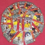 Colecionismo -  21 cards da Seleção Brasilerira da Copa do Mundo !! com Rivaldo !! , Muller !! Dida !! Zinho !! etc... acervo de colecionador !!